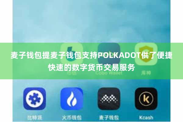 麦子钱包提麦子钱包支持POLKADOT供了便捷快速的数字货币交易服务