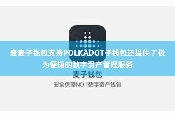 麦麦子钱包支持POLKADOT子钱包还提供了极为便捷的数字资产管理服务