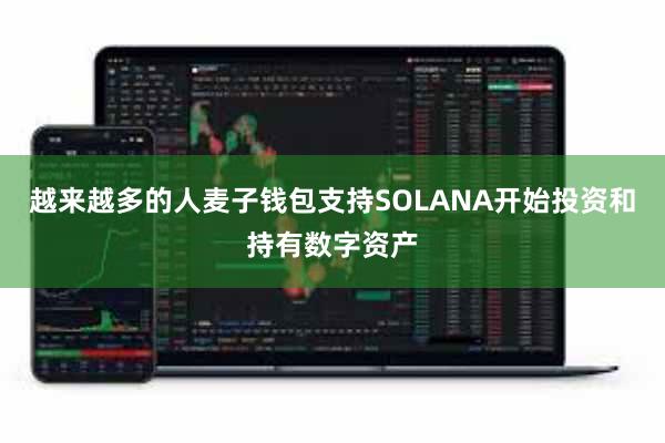 越来越多的人麦子钱包支持SOLANA开始投资和持有数字资产