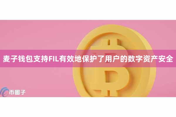 麦子钱包支持FIL有效地保护了用户的数字资产安全