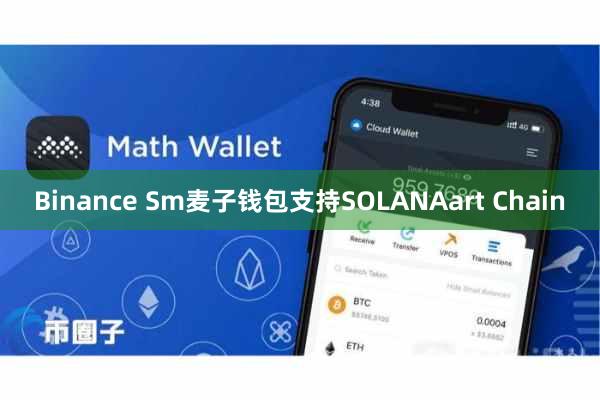 Binance Sm麦子钱包支持SOLANAart Chain