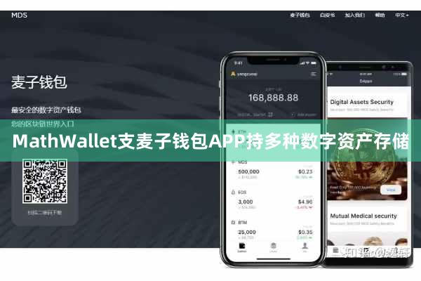 MathWallet支麦子钱包APP持多种数字资产存储
