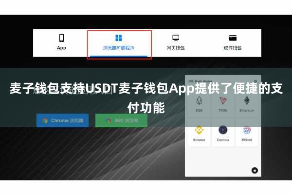 麦子钱包支持USDT麦子钱包App提供了便捷的支付功能