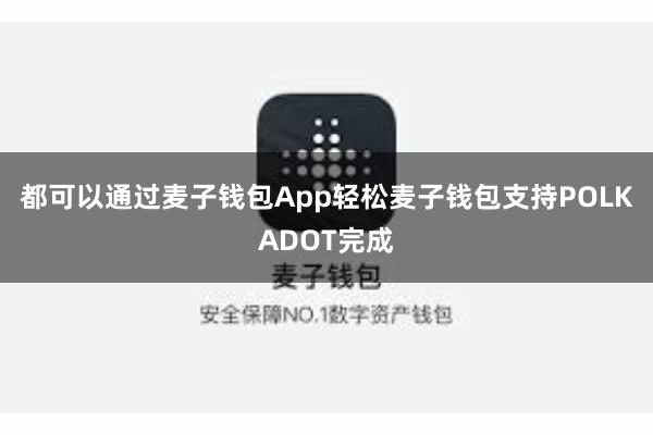 都可以通过麦子钱包App轻松麦子钱包支持POLKADOT完成