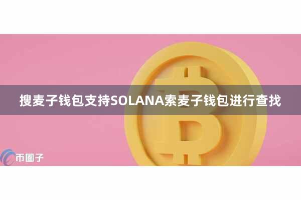 搜麦子钱包支持SOLANA索麦子钱包进行查找