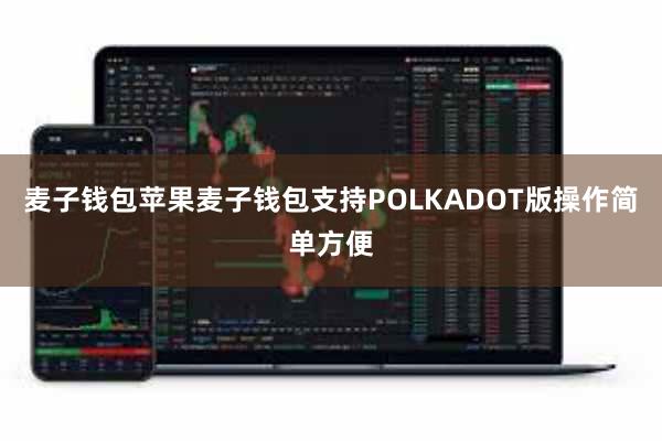 麦子钱包苹果麦子钱包支持POLKADOT版操作简单方便