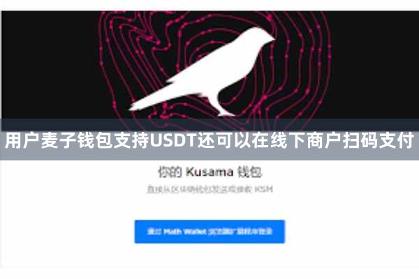 用户麦子钱包支持USDT还可以在线下商户扫码支付