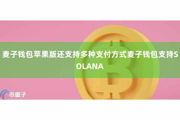 麦子钱包苹果版还支持多种支付方式麦子钱包支持SOLANA