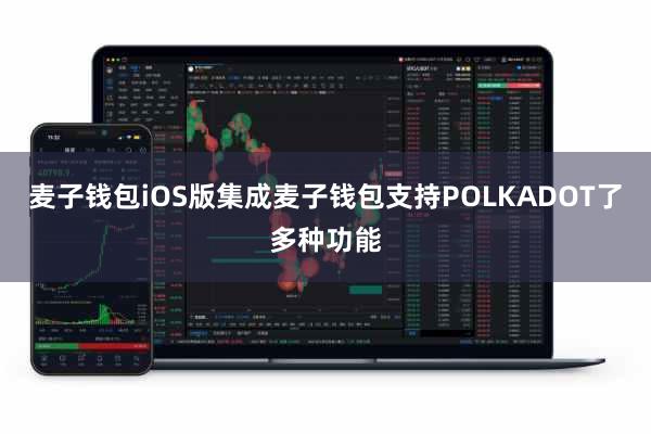麦子钱包iOS版集成麦子钱包支持POLKADOT了多种功能