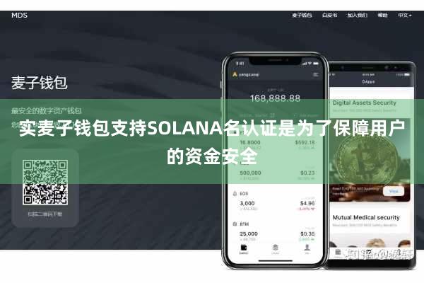 实麦子钱包支持SOLANA名认证是为了保障用户的资金安全