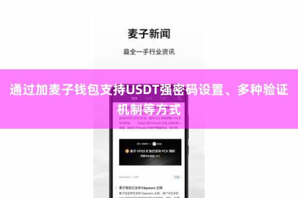 通过加麦子钱包支持USDT强密码设置、多种验证机制等方式