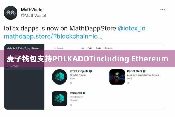 麦子钱包支持POLKADOTincluding Ethereum