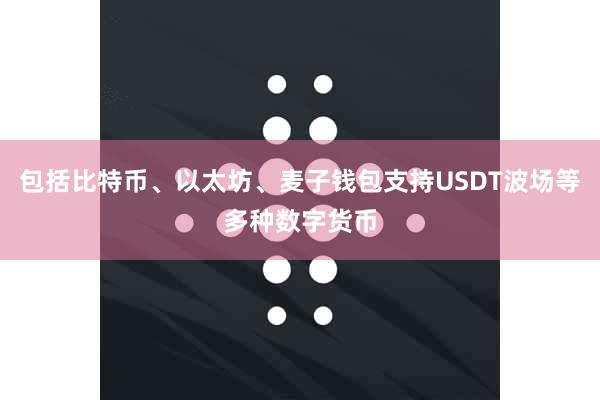 包括比特币、以太坊、麦子钱包支持USDT波场等多种数字货币