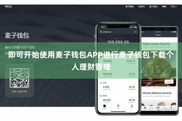 即可开始使用麦子钱包APP进行麦子钱包下载个人理财管理