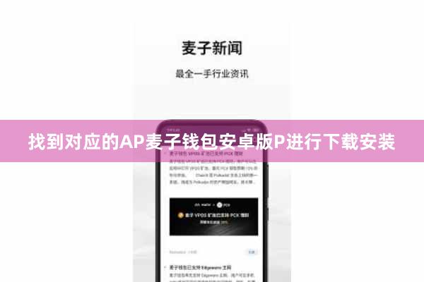 找到对应的AP麦子钱包安卓版P进行下载安装