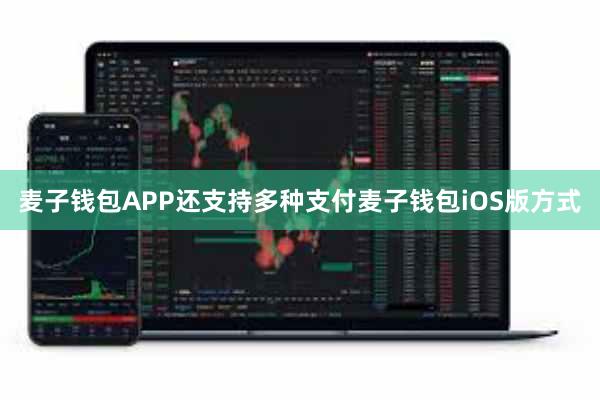 麦子钱包APP还支持多种支付麦子钱包iOS版方式