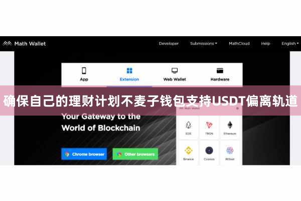 确保自己的理财计划不麦子钱包支持USDT偏离轨道