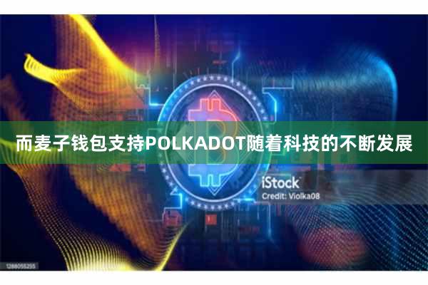 而麦子钱包支持POLKADOT随着科技的不断发展