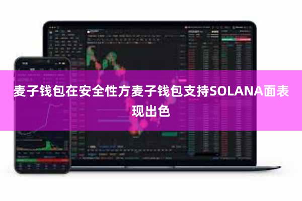 麦子钱包在安全性方麦子钱包支持SOLANA面表现出色