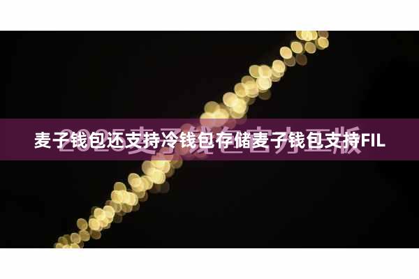 麦子钱包还支持冷钱包存储麦子钱包支持FIL