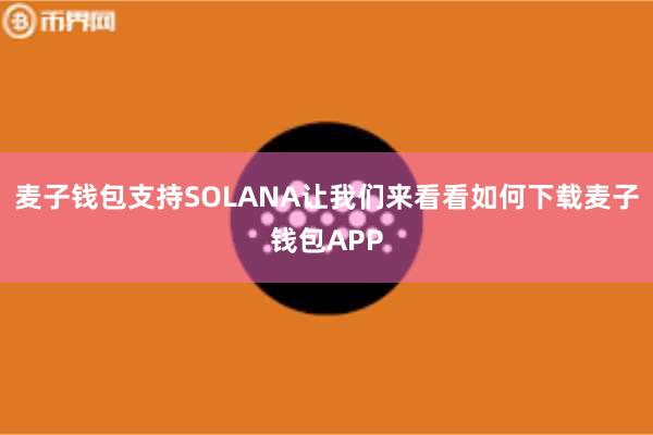 麦子钱包支持SOLANA让我们来看看如何下载麦子钱包APP