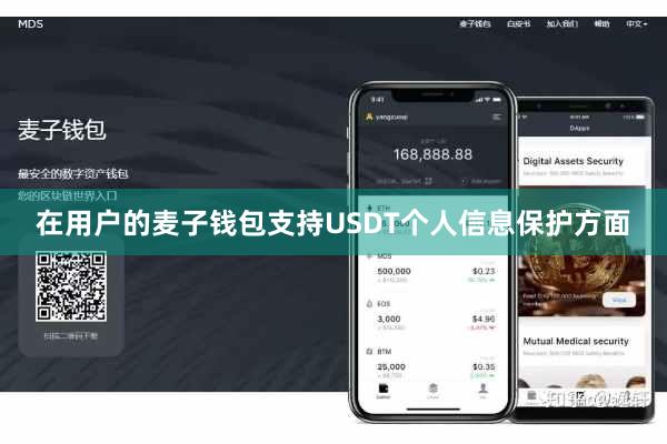 在用户的麦子钱包支持USDT个人信息保护方面