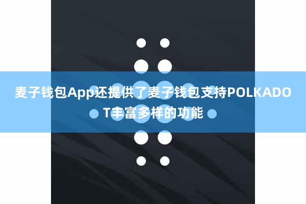 麦子钱包App还提供了麦子钱包支持POLKADOT丰富多样的功能
