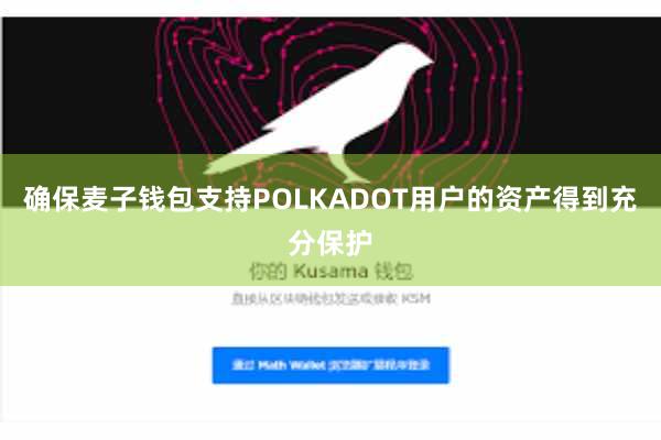 确保麦子钱包支持POLKADOT用户的资产得到充分保护