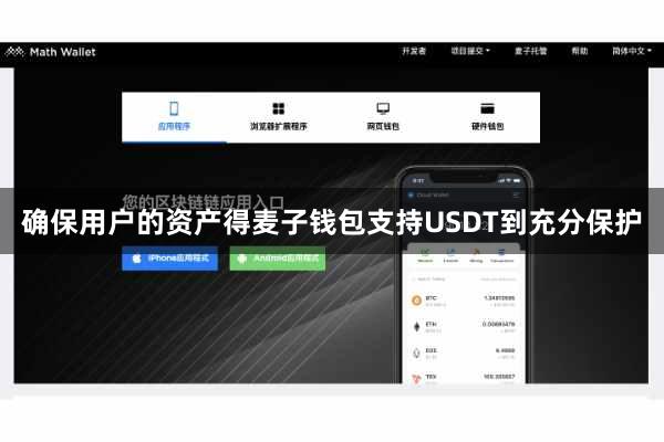 确保用户的资产得麦子钱包支持USDT到充分保护