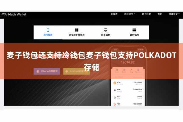 麦子钱包还支持冷钱包麦子钱包支持POLKADOT存储
