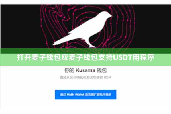 打开麦子钱包应麦子钱包支持USDT用程序