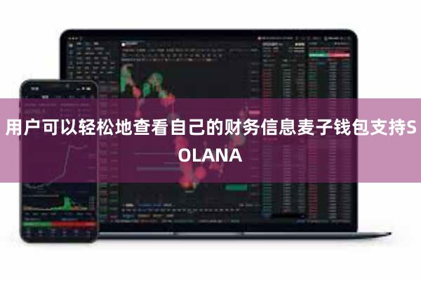 用户可以轻松地查看自己的财务信息麦子钱包支持SOLANA
