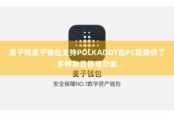 麦子钱麦子钱包支持POLKADOT包PC版提供了多种账目管理功能