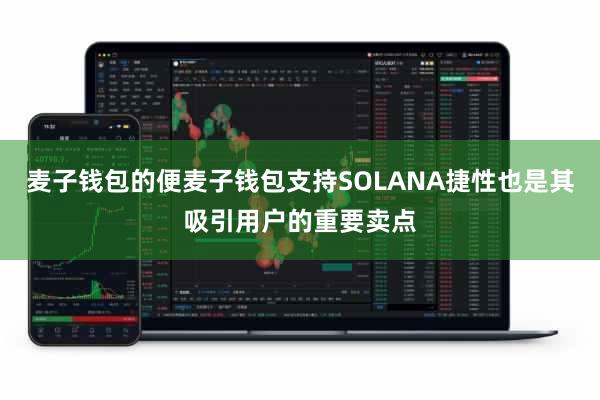 麦子钱包的便麦子钱包支持SOLANA捷性也是其吸引用户的重要卖点