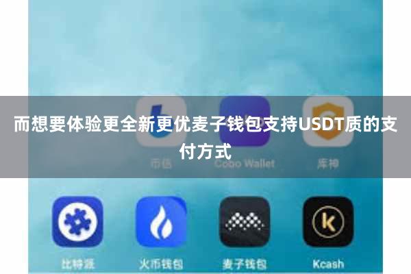 而想要体验更全新更优麦子钱包支持USDT质的支付方式