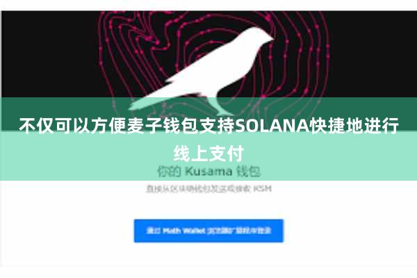 不仅可以方便麦子钱包支持SOLANA快捷地进行线上支付