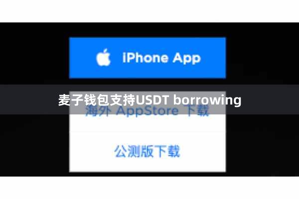 麦子钱包支持USDT borrowing