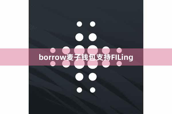 borrow麦子钱包支持FILing