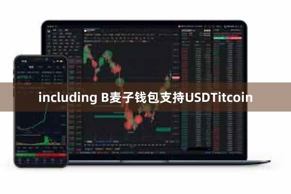 including B麦子钱包支持USDTitcoin