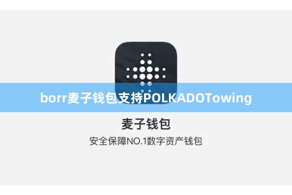 borr麦子钱包支持POLKADOTowing