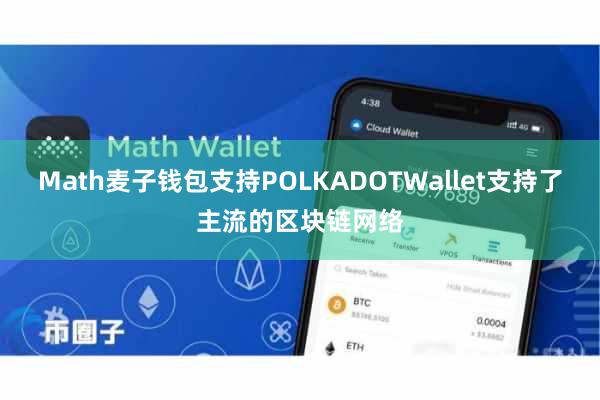 Math麦子钱包支持POLKADOTWallet支持了主流的区块链网络