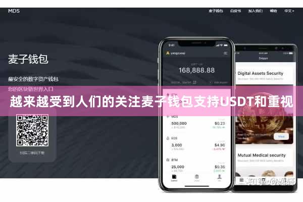 越来越受到人们的关注麦子钱包支持USDT和重视