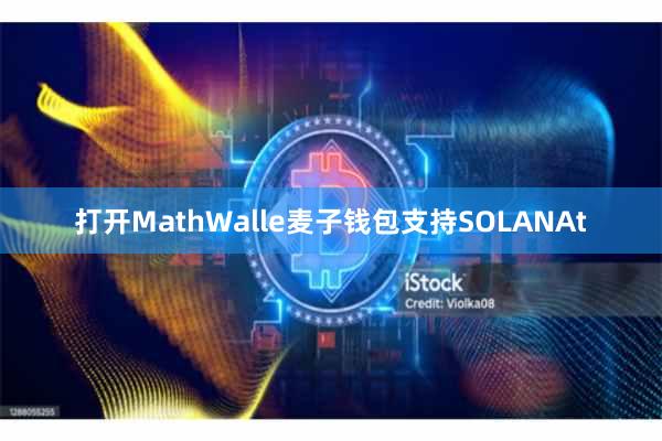 打开MathWalle麦子钱包支持SOLANAt