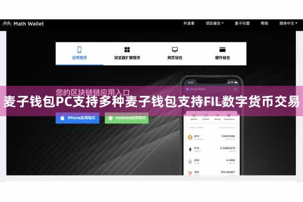 麦子钱包PC支持多种麦子钱包支持FIL数字货币交易