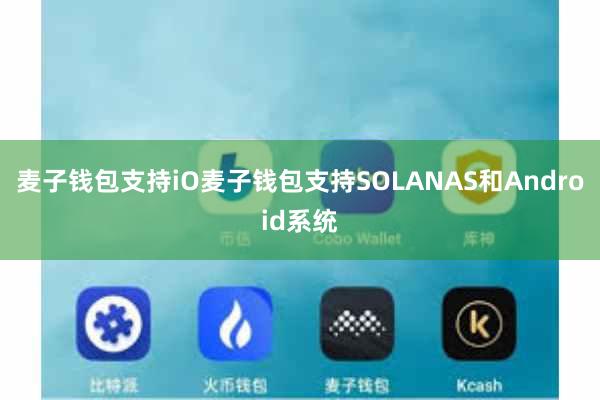 麦子钱包支持iO麦子钱包支持SOLANAS和Android系统