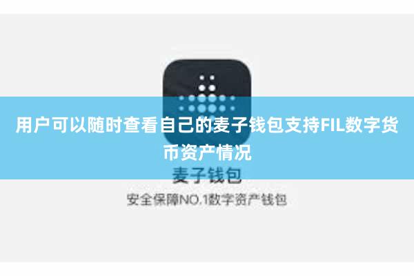 用户可以随时查看自己的麦子钱包支持FIL数字货币资产情况