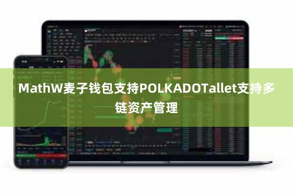 MathW麦子钱包支持POLKADOTallet支持多链资产管理