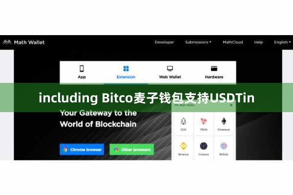 including Bitco麦子钱包支持USDTin