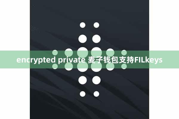 encrypted private 麦子钱包支持FILkeys